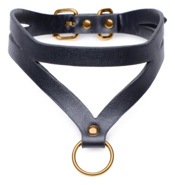 Bondage Baddie Collar With O ring BlackGold