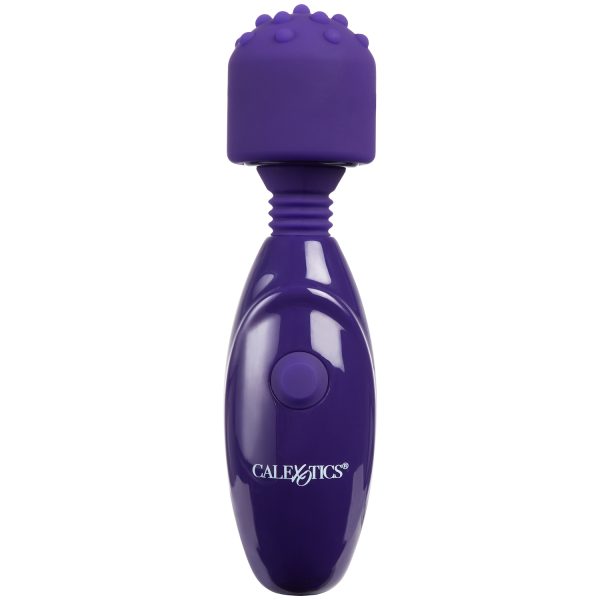 Tiny Teasers Rechargeable Nubby Vibrator Purple